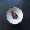 Coccinelle