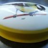 Boite ovale jaune mésange (1)