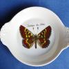 Papillon B