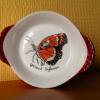 Papillon Grand Sylvain